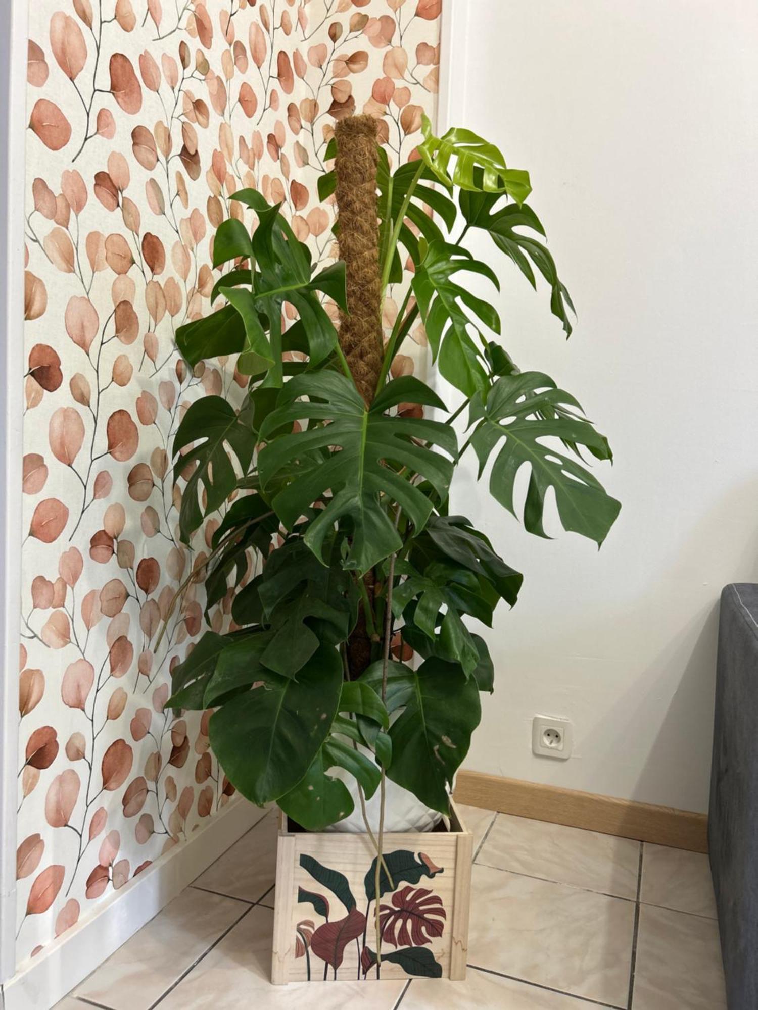 Home Lyla Діжон Екстер'єр фото